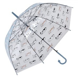 Průhledný deštník pro dospělé s bílými kočičkami a modrým pruhem – 60 cm