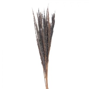 Přírodní šedá kytice sušené květy trávy – cm
