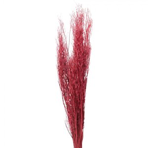 Sušený květ růžový 100 cm (15) – 100 cm