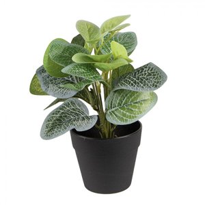Dekorační zelená umělá rostlina – 20x20x22 cm