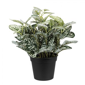 Dekorační zelená umělá rostlina – 27x27x34 cm